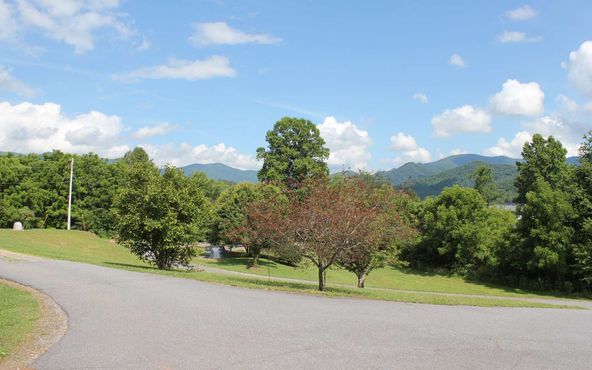 56 W Vineyard Ln, Hayesville, NC 28904